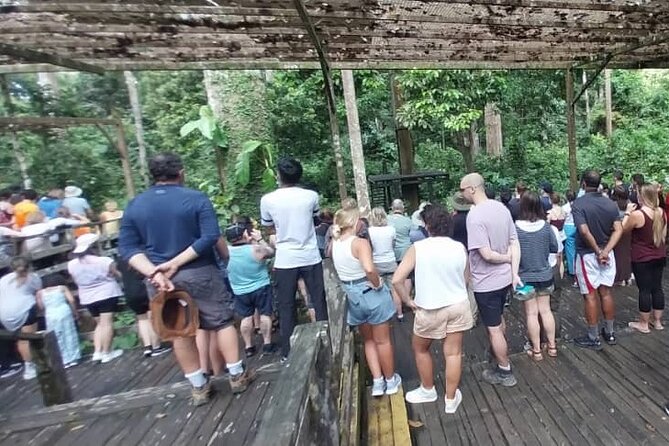 Full-Day Sepilok Orangutan and Sandakan City Trail from Kota Kinabalu - Sandakan Heritage Trail: stilt villages, temples, and a working market