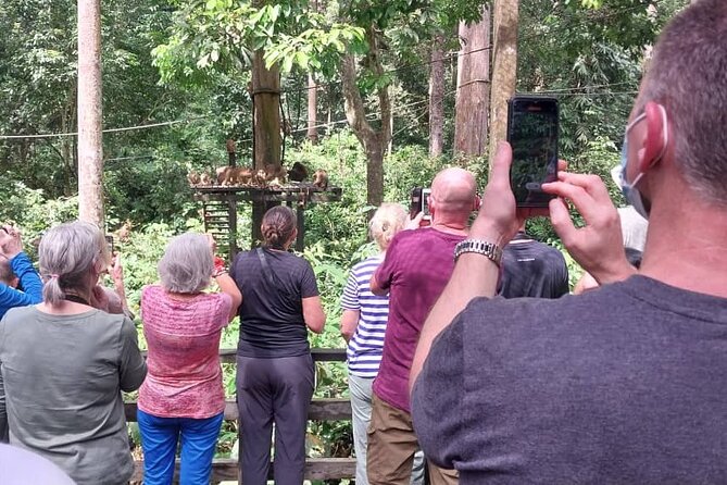 Full-Day Sepilok Orangutan and Sandakan City Trail from Kota Kinabalu - Price and logistics: what $131 buys you, and what it doesn’t