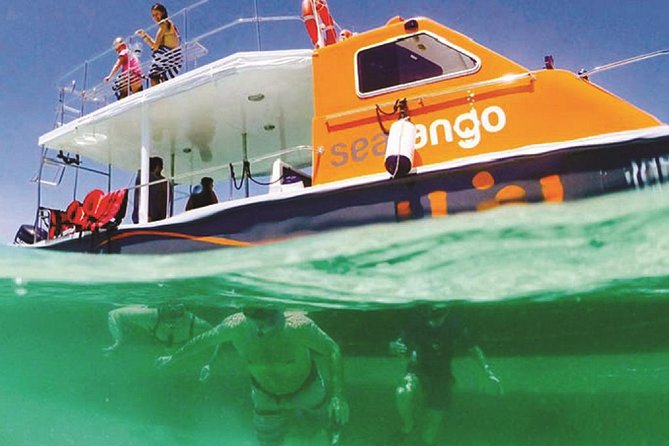Fun Boat Snorkeling and Island Visit from Kota Kinabalu - Stop 1 at the first snorkeling point: Seatango fun boat time