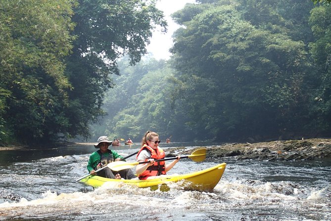 Fun Filled Kayaking Adventure in Kuching - Price and value: what $53.23 buys you in Kuching