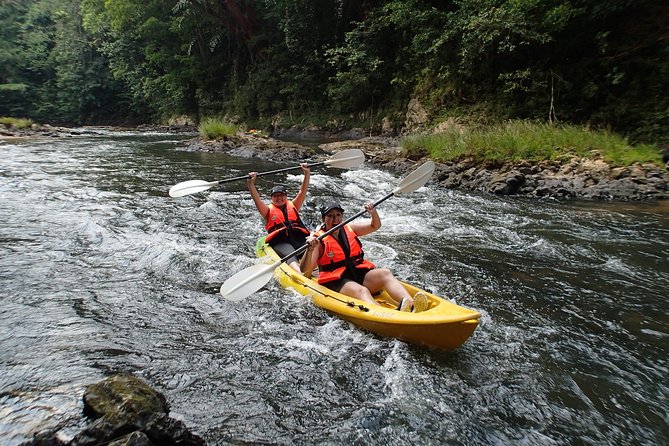 Fun Filled Kayaking Adventure in Kuching - Kayaking on the Sungai Sarawak Kiri River: activity plus breaks