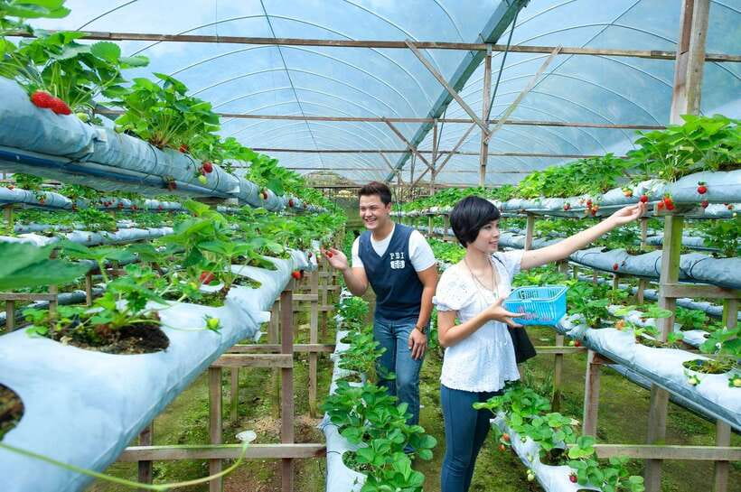 Genting Highland: Private Day Trip from Kuala Lumpur - Who This Private Genting Highlands Day Trip Fits Best