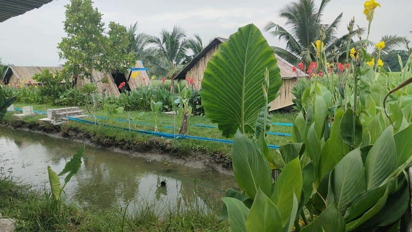 George Town: Balik Pulau Countryside Morning Cycling Tour - Who this tour suits best, and who should skip it