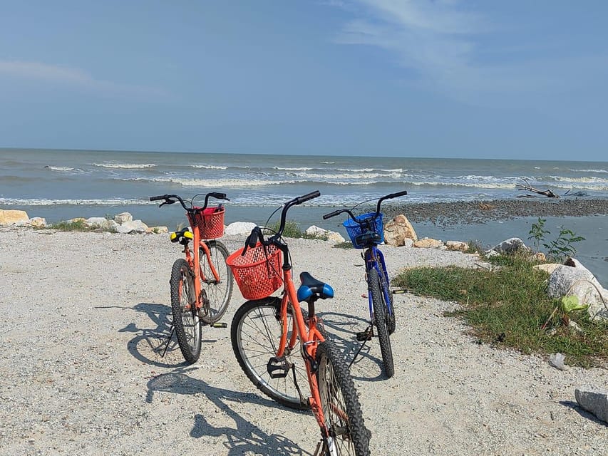 George Town: Balik Pulau Countryside Morning Cycling Tour - Price and value: what you really get for around $47