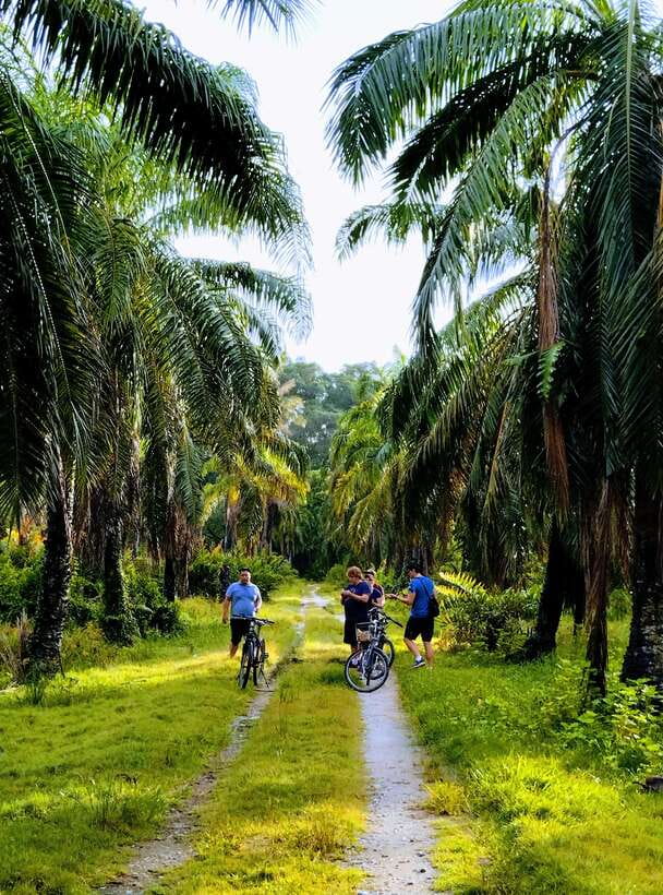 George Town, Penang: Malay Countryside Cycling - Coffee, “Secret” Stops, and Why Refreshments Are Part of the Story