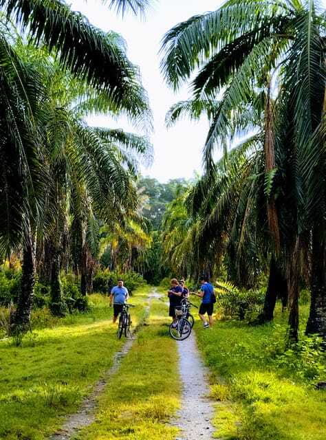 George Town, Penang: Malay Countryside Cycling - Your Guide Makes the Difference, Especially With Facts and Humor