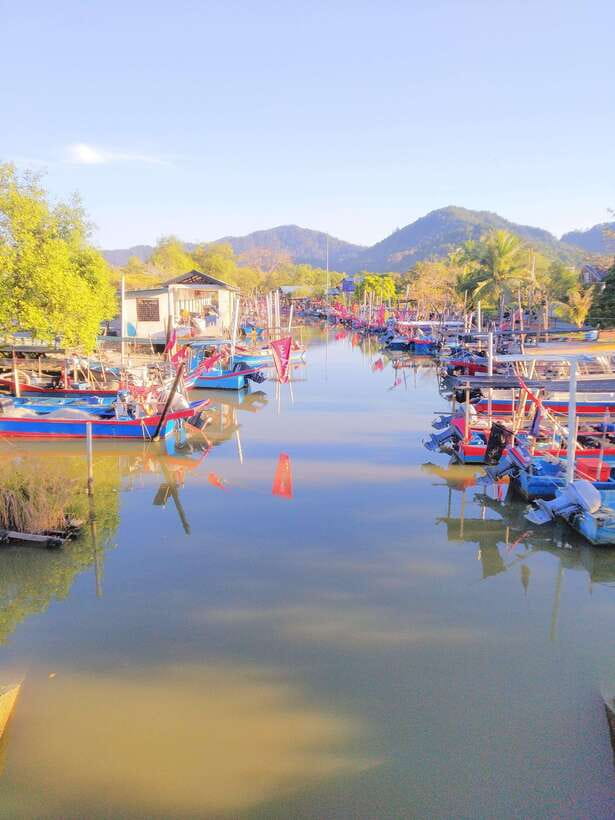 George Town, Penang: Malay Countryside Cycling - Bike Comfort, Weight Limits, and Who This Ride Fits