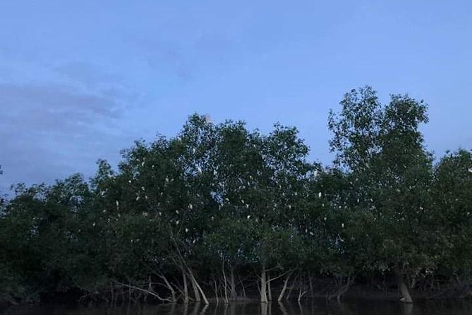 Glowing Kuala Selangor Firefly Tour - Bukit Melawati: lighthouse views and the monkey stop you should respect