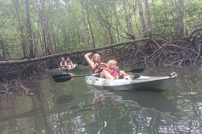 Half-day 4 Hours Kilim Mangrove Kayaking (Without hotel pickups) - Key highlights at a glance