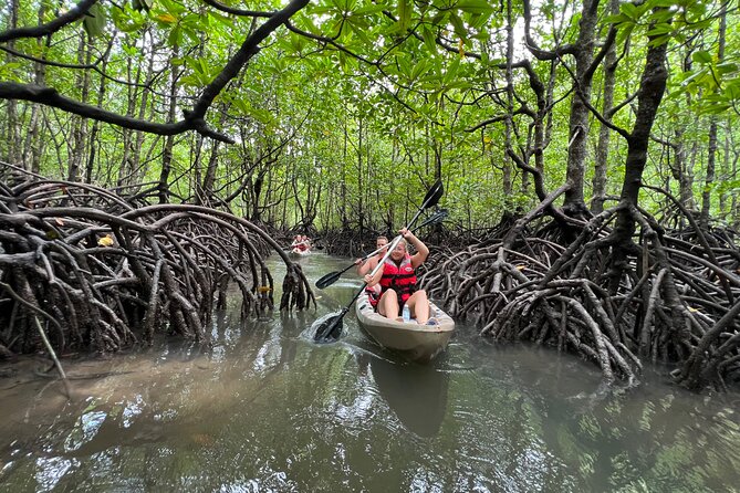 Half-Day Mangrove Kayaking in Langkawi - Kilim Mangroves: The Calm Kayak That Feels Like Discovery