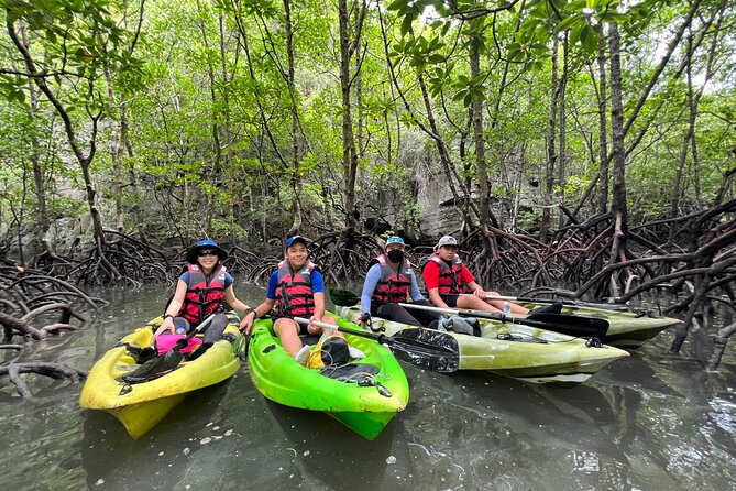 Half-Day Mangrove Kayaking in Langkawi - 1:30 pm Kilim Jetty and Lunch at the Food Court