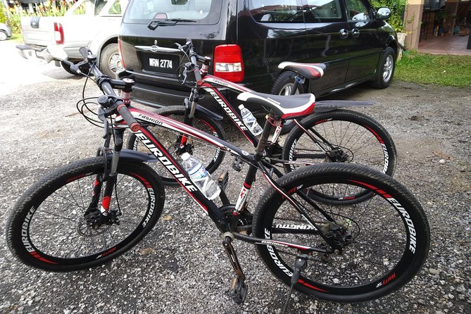 Half-Day Penang Countryside Cycling Tour - The Main Ride Through Sungai Rusa Countryside and Plantations
