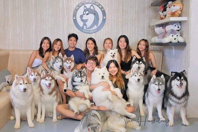 Huskitory Connecting People and Dogs - Quick highlights from Huskitory