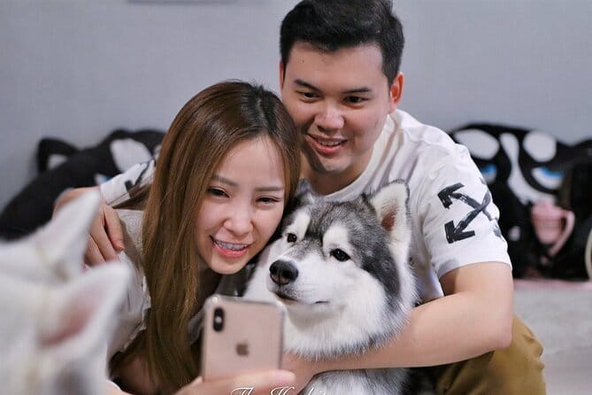 Huskitory Connecting People and Dogs - Your one-hour plan inside The Huskitory