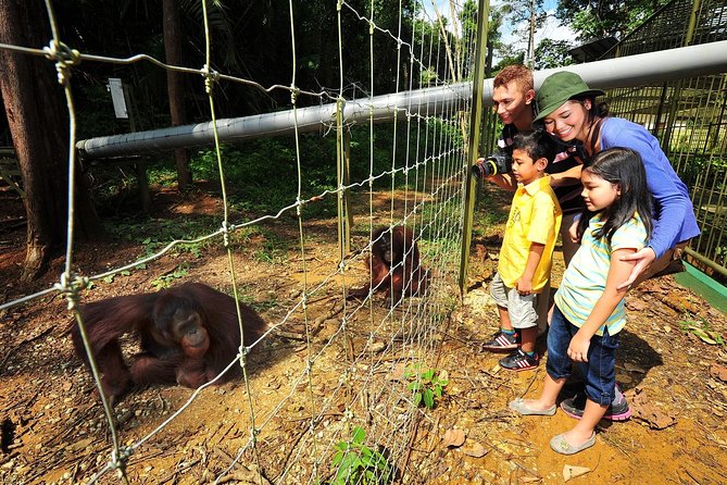 Ipoh Private Day Trip from Kuala Lumpur with Lunch - Stop 1, Orang Utan Island: boat ride and nature break