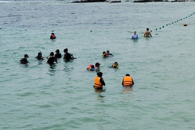 Island Hopping ( Manukan & Sapi Island ) From Kota Kinabalu - Sapi Island: your main beach and snorkel block