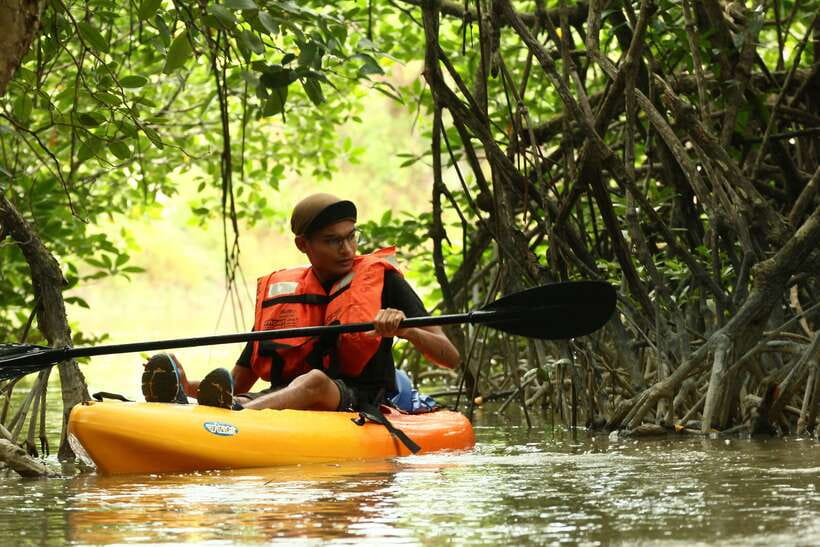 Johor: Sungai Lebam Kayaking with Transfer - From Desaru Coast pickup to the Lebam River launch