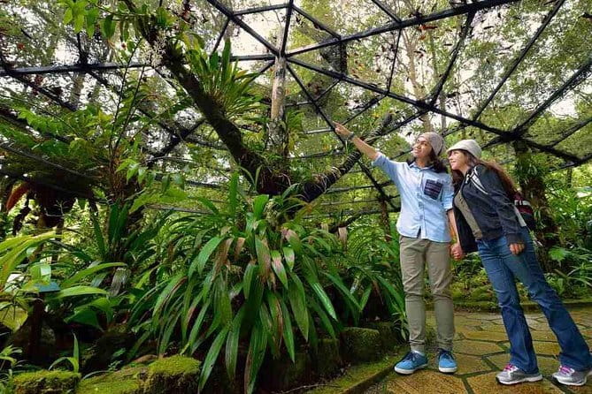 Kinabalu National Park Tour - Key things to know before you go