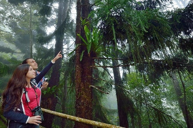 Kinabalu National Park Tour - Price and what $135 buys you