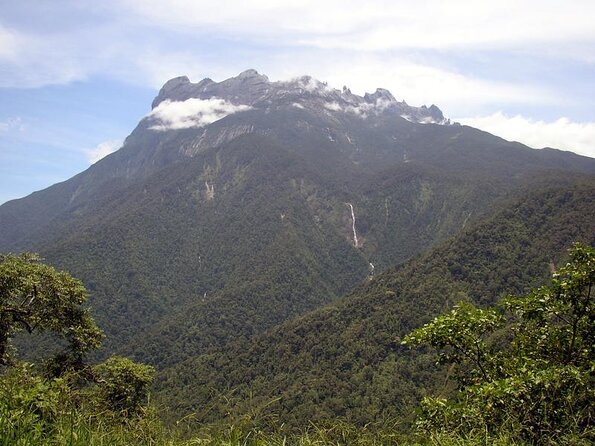 Kinabalu Park & Poring Hot Spring & Canopy Walk - A Single Day Covering Kinabalu Park, Poring Hot Springs, and the Canopy Walk