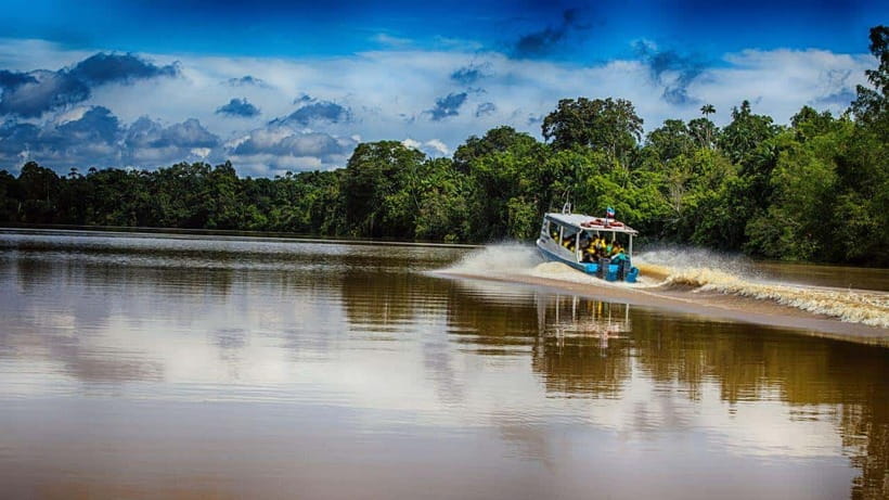 Kinabatangan River Trip from Sandakan with Lunch Included - Driving to Bilit: Where Primates and Birds Set the Scene