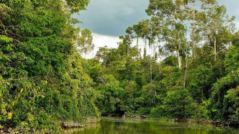 Kinabatangan River Trip from Sandakan with Lunch Included - The Boat Cruise on the Kinabatangan River: Best Ways to Spot Wildlife