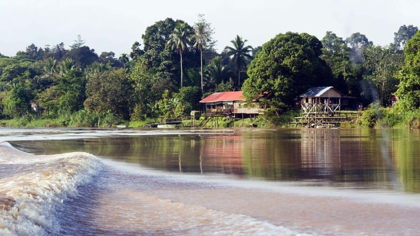 Kinabatangan River Trip from Sandakan with Lunch Included - The Schedule and Pacing: How a 1-Day Tour Can Still Feel Long