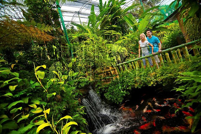KL Butterfly Park Admission with Kuala Lumpur Famous Landmarks - Practical Tips so You Get the Best Day