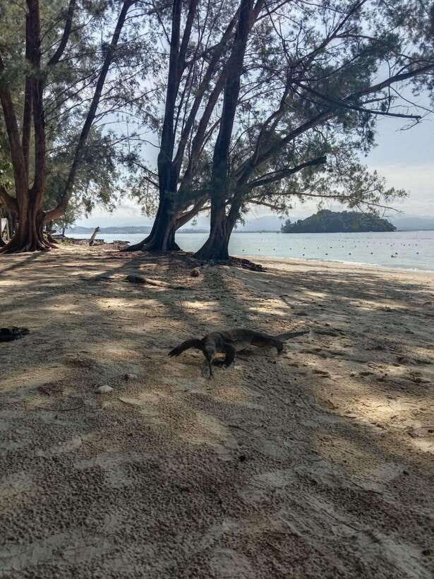Kota Kinabalu: Manukan & Sapi Islands Snorkeling with Lunch - Manukan and Sapi Islands: Why This Route Works