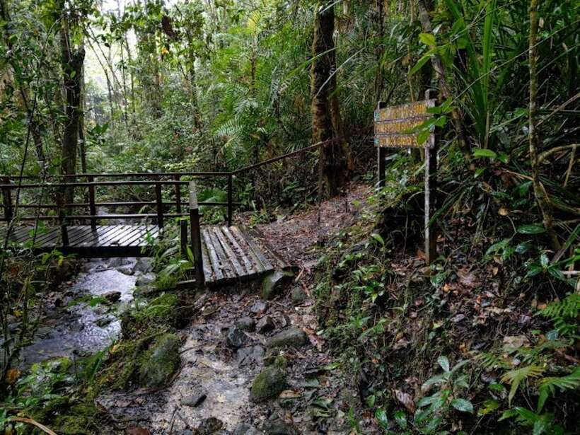 Kota Kinabalu: Private Kundasang and Poring Hot Spring Tour - Poring Hot Springs: how to get the most from the soak