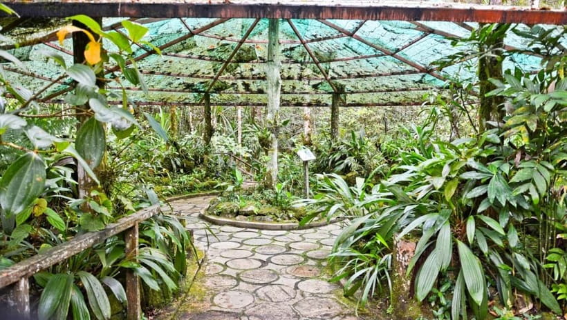 Kota Kinabalu: Private Kundasang and Poring Hot Spring Tour - Entering Kinabalu Park via the Botanical Garden area