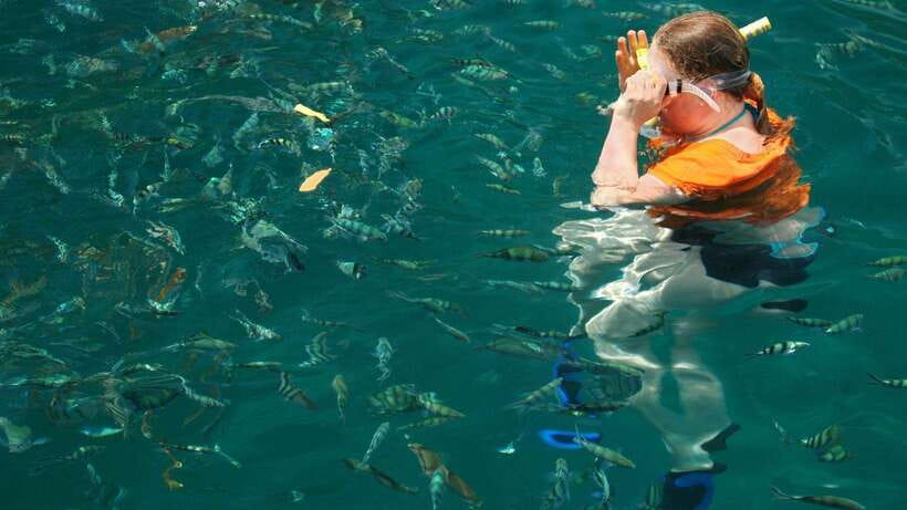 Kota Kinabalu: Snorkeling & Island Hopping Sapi & Manukan - Scenic boat rides, safety briefings, and why the guide matters