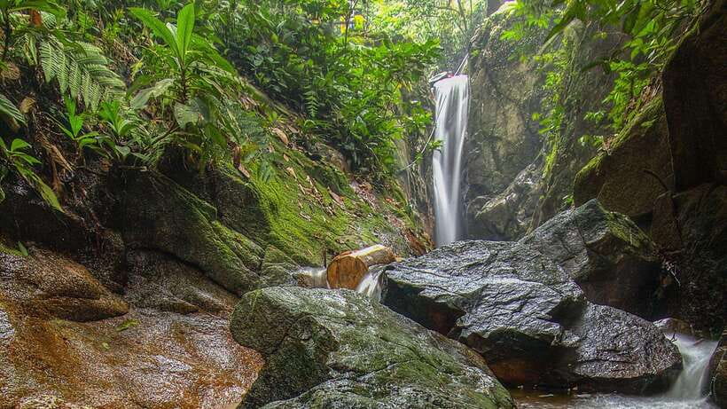 Kuala Lumpur: Batu Caves, Ramayana Caves & Kanching Falls - Batu Caves: 272 steps, Murugan, shrines, and the macaque factor