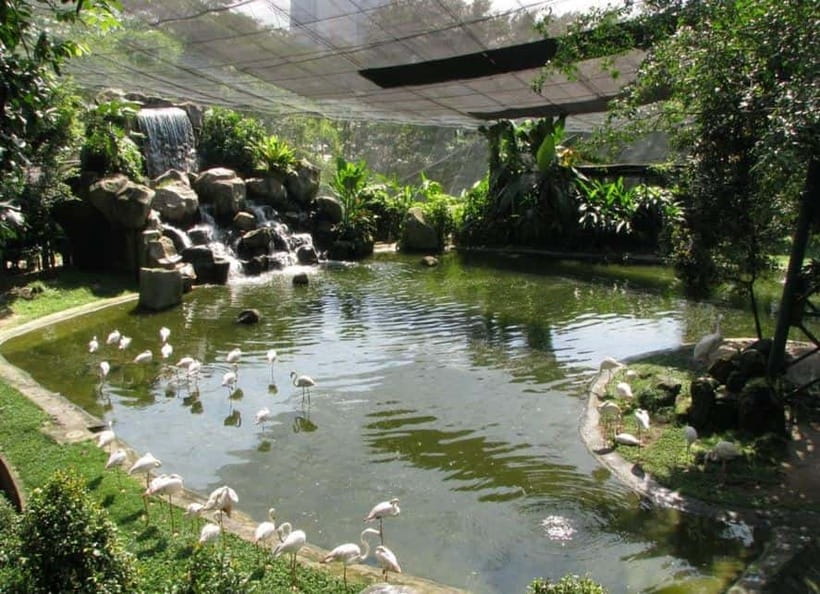 Kuala Lumpur: Bird Park, Butterfly & Garden Private Tour - Key things to know before you go