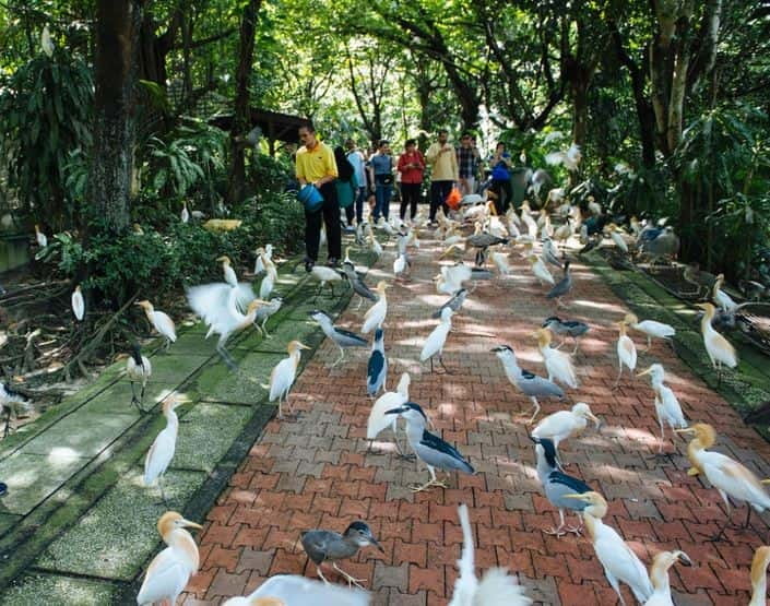Kuala Lumpur: Bird Park, Butterfly & Garden Private Tour - The quick stop at Perdana Botanical Garden: a calm warm-up