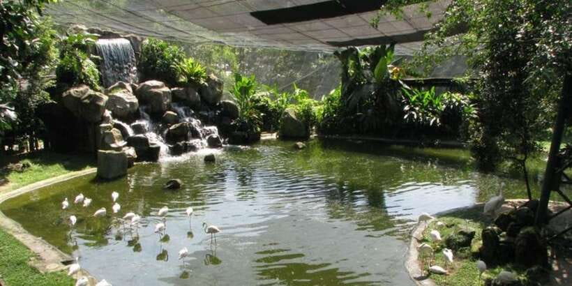 Kuala Lumpur: Bird Park, Butterfly & Garden Private Tour - Orchid and Hibiscus Gardens: Malaysia’s national flower, plus 700 varieties