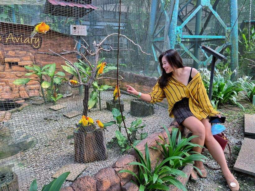 Kuala Lumpur: Bird Park Day Ticket & 1-Way Transfer - What the free-flight experience is really like