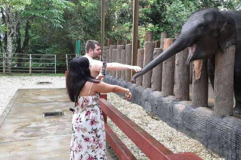 Kuala Lumpur: Kuala Gandah and Batu Caves Private Trip - Scheduling Reality Check: Elephant Show Timing and When a Day Feels Rushed