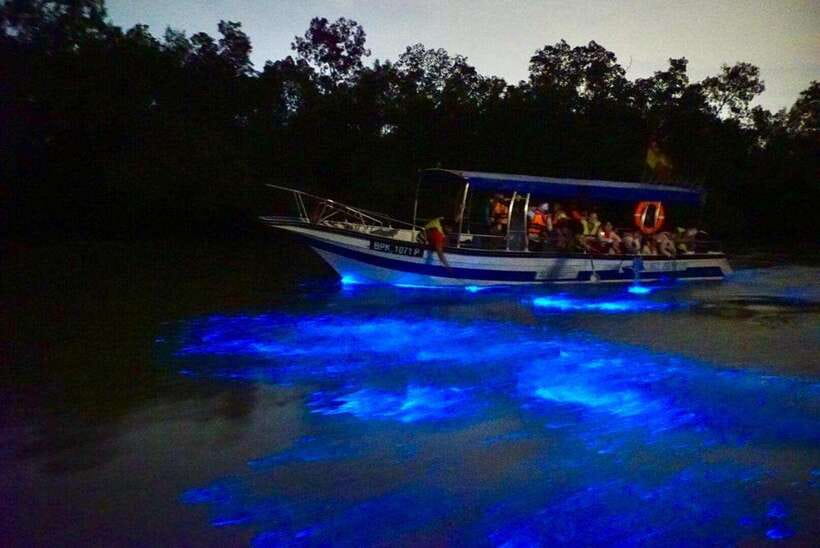 Kuala Lumpur: Kuala Selangor Fireflies and Blue Tears Tour - Price and Logistics: Is $79 Good Value for This Tour?