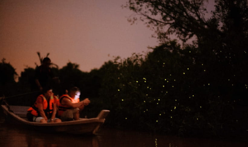 Kuala Lumpur: Kuala Selangor Firefly Tour and Dinner - Kampung Kuantan boat ride: where the lights actually happen