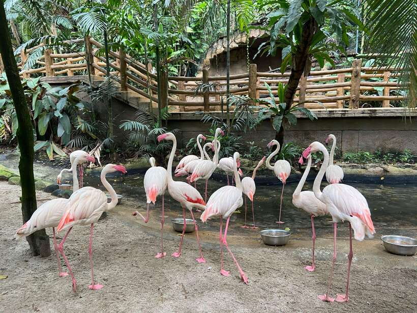 Kuala Lumpur: Sunway Lagoon Ticket & 1-Way Transfer - The six zones plan: how to spread your time across 80+ acres