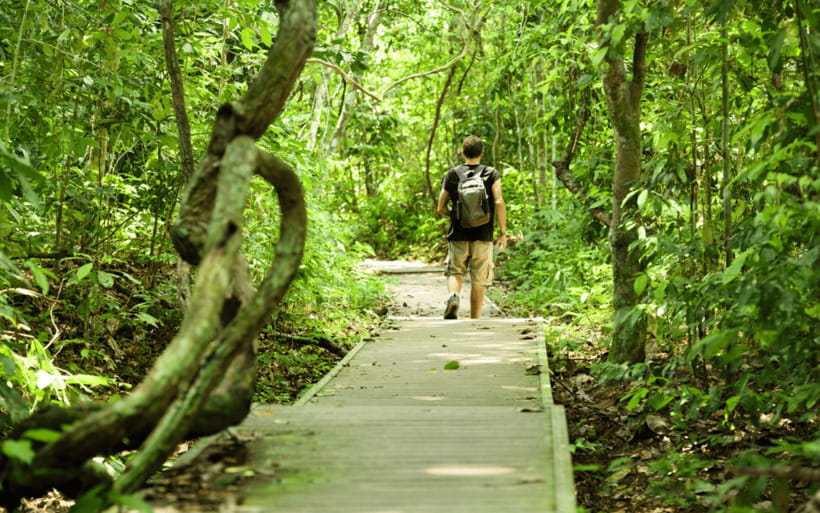 Kuala Lumpur: Taman Negara National Park Teras Waterfall - What the $194 price covers, and where you should double check