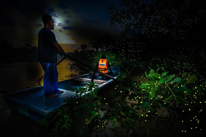 Kuala Selangor Fireflies - Batu Caves Temple- Malawati Hill DayTour With Dinner - Private guide and driver: when it shines and when it stumbles