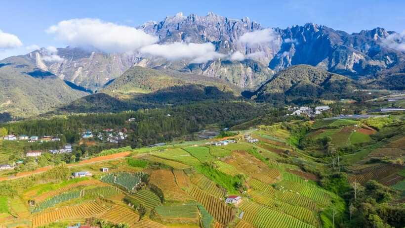 Kundasang: Day Tour with Desa Dairy Farm and Alpaca Club - Alpaca Club: The Sweet, Low-Key Hour Between Farm and City Stops