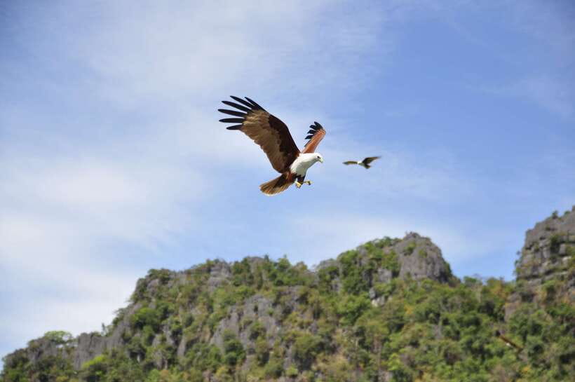 Langkawi: 6-Hour Private Island Highlights Tour - How a 6-hour private route turns into a personalized Langkawi day