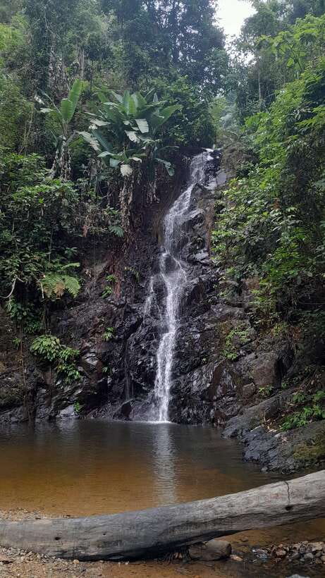 Langkawi: Countryside Bike Tour, Waterfall Swim & Dessert - Why this Langkawi ride works: countryside biking plus a local swim
