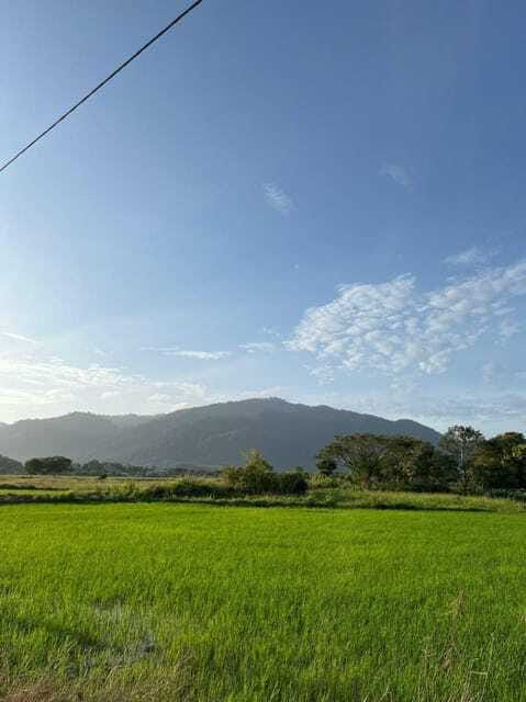 Langkawi: Countryside Bike Tour, Waterfall Swim & Dessert - Local desserts with coffee and tea: a sweet ending by the river