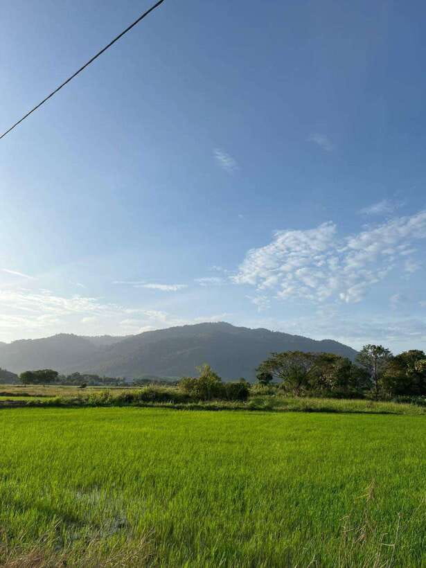 Langkawi: Countryside Bike Tour, Waterfall Swim & Dessert - Timing, heat, and why the 4:00pm start feels practical
