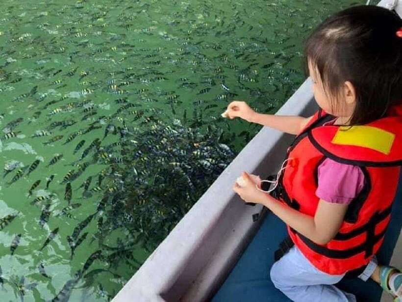 Langkawi: Dangli Island or Pulau Intan Kecil Snorkeling Tour - Should you book Pulau Dangli or Pulau Intan Kecil?