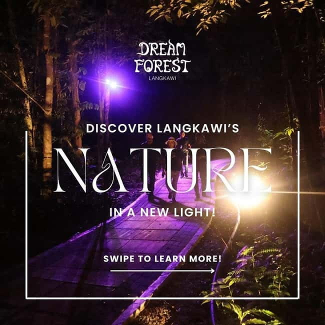 Langkawi: Dream Forest Langkawi Standard Admission Ticket - A nighttime forest show in Kedah, Malaysia